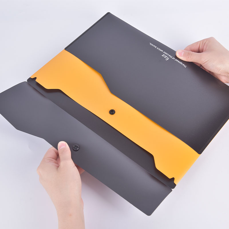 Fizz Filing Product A4 File Folder Office Desk Organizer 2-layer File Bag Office Supplies