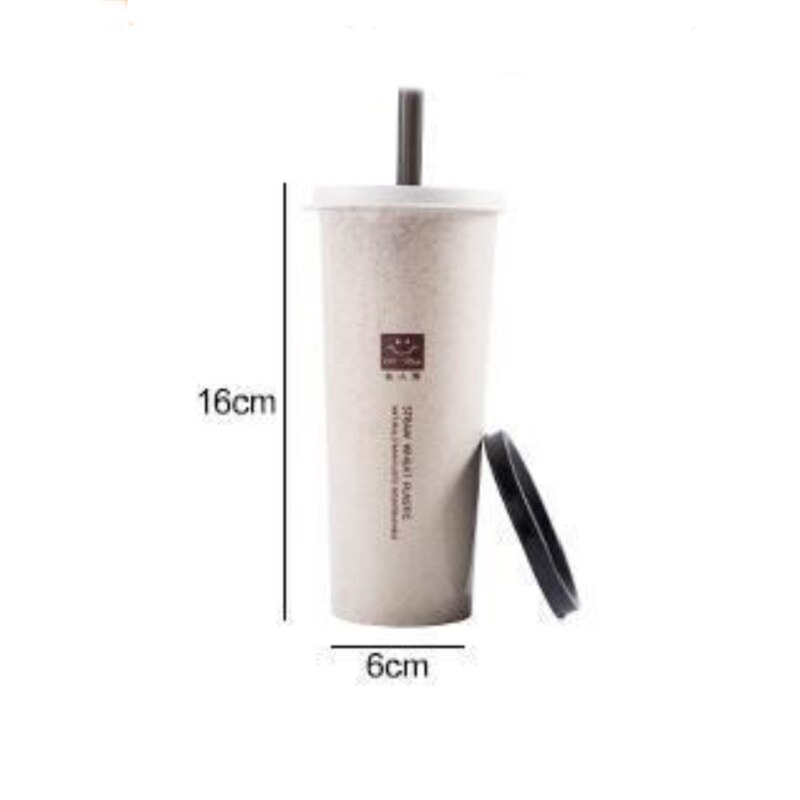 1PC Einfache Weizen Stroh Tasse Mit Deckel Tasse Schüler Tragbare Tote Reise Tasse Kunststoff Trinkwasser Tasse Kaffee Flasche für freundlicher Rohr