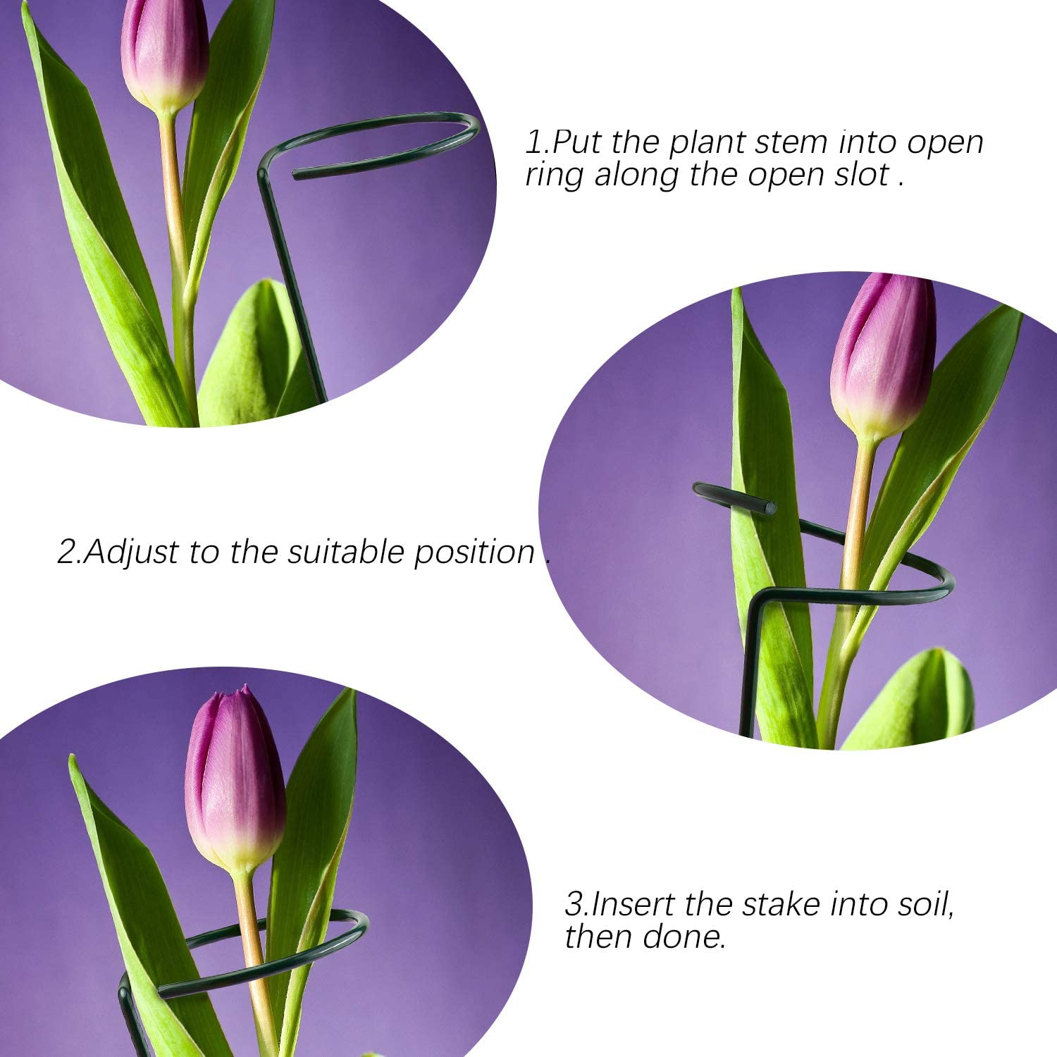 6Pack Plant Support Rod Steel Garden Single Stem Support Stake Plant Cage Support Ring for Flower Rose Tomato Orchid Lily Peony