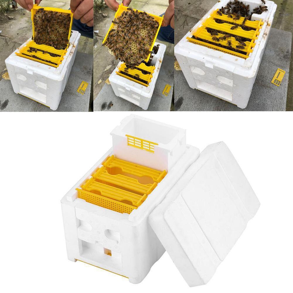 1pcs Honey Beehive Bee Hive Box Case Beekeeping Equipment Raw Harvest Bees Frame