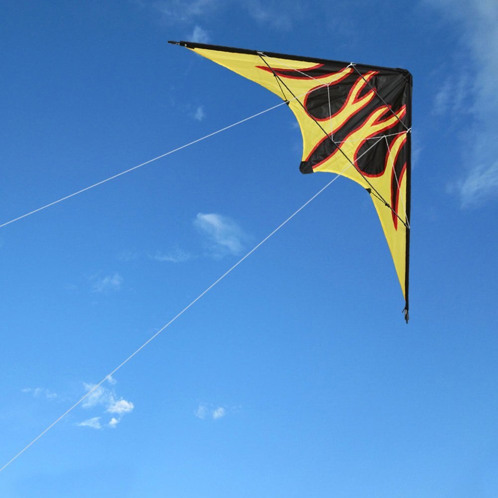 Outdoor Fun Sports 48 Inch Dual Line Stunt Kites / Flame Kite With Handle And Line Good Flying