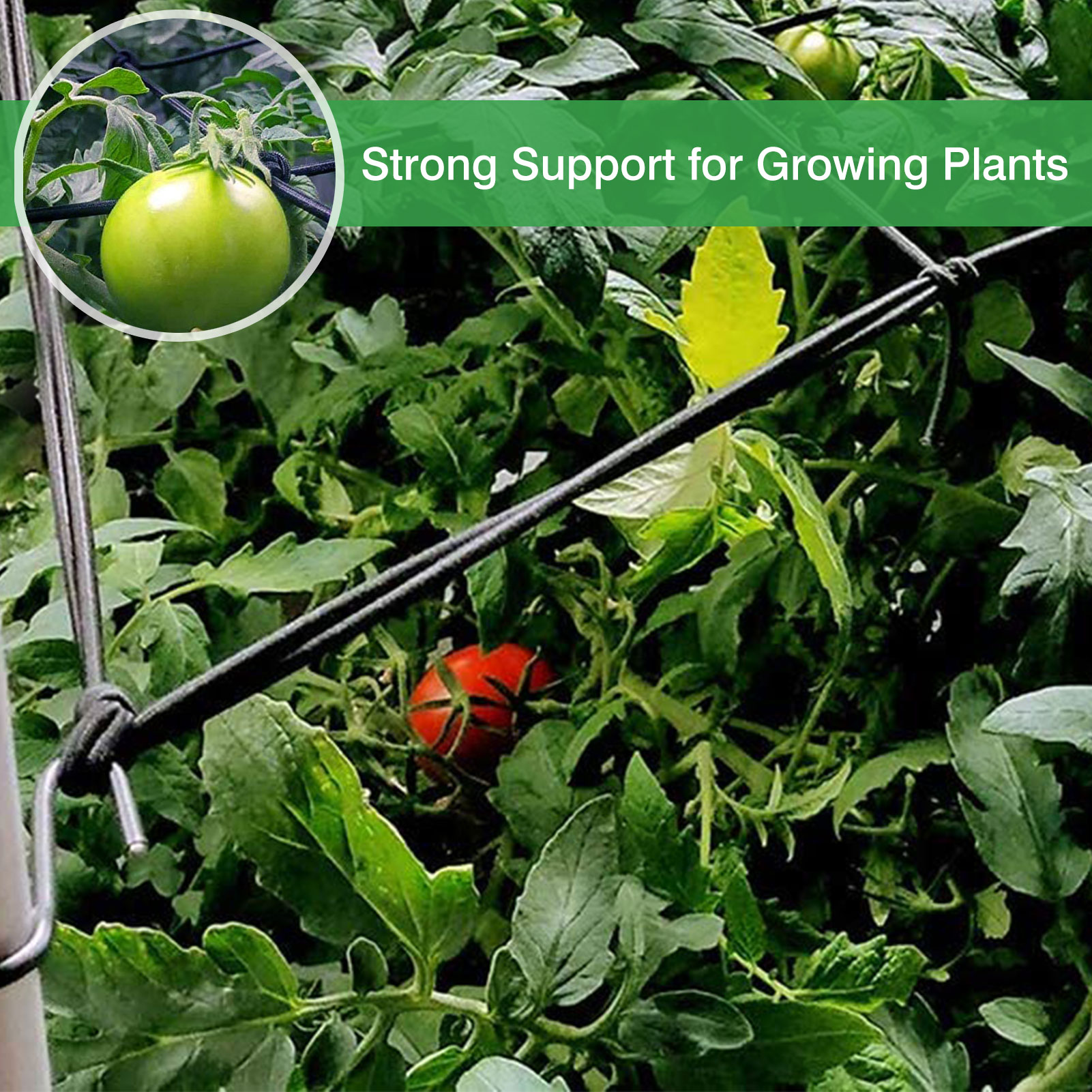 Tienda de cultivo de plantas, cerca de frijol, Red de enrejado Flexible para plantas trepadoras, vegetales, suministros de jardín para el hogar