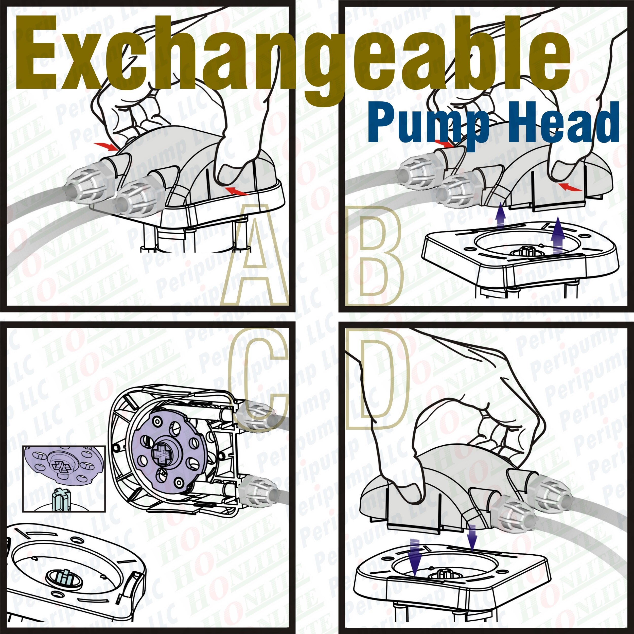 60ml/min, 4 rollers, Honlite 24V Peristaltic Pump with Exchangeable Pump Head and PharMed BPT Peristaltic Tube