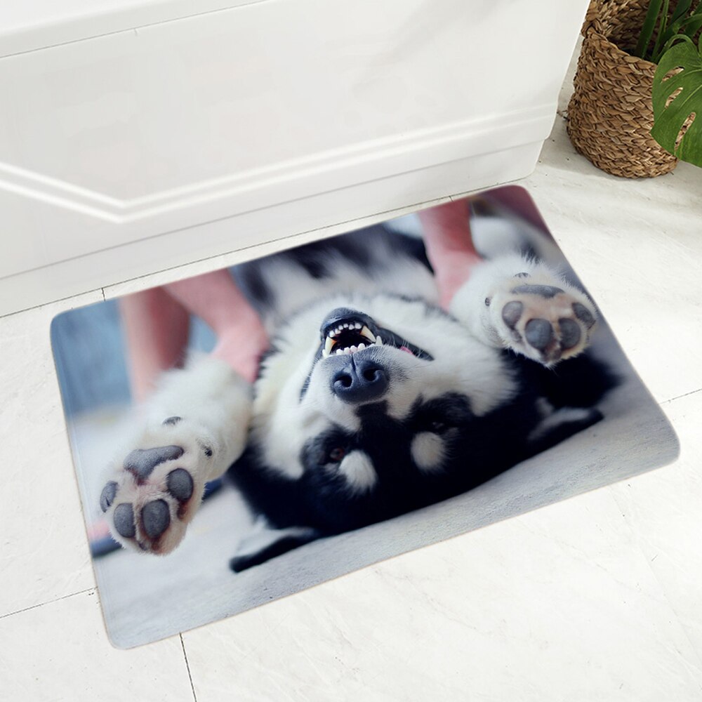 Soft Flannel Doormat Decor Siberian Husky Dog Door Mat Non-Slip Hallway Pet Animal Carpet Rug for Dining Room Bedroom Floor Mat: 14