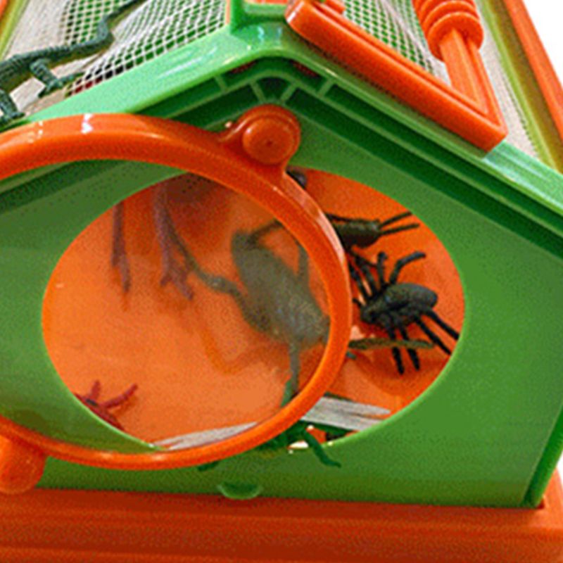 Portable insecte papillon Habitat Cage Terrarium pliant extérieur insecte visionneuse