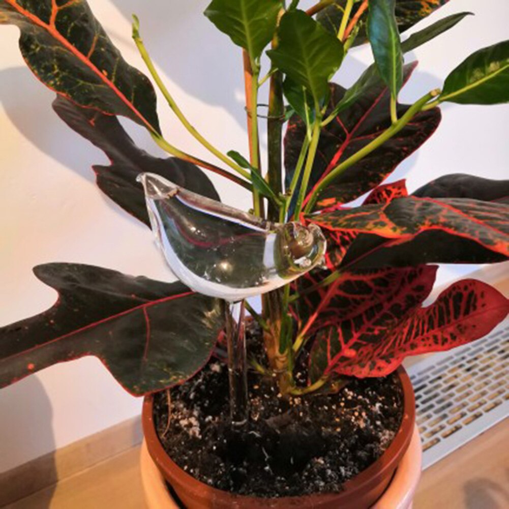 Automatic Watering Device Auto Drip Irrigation System Plants Self Watering Globes Pot Flower Household Garden Plant Clear Bulbs