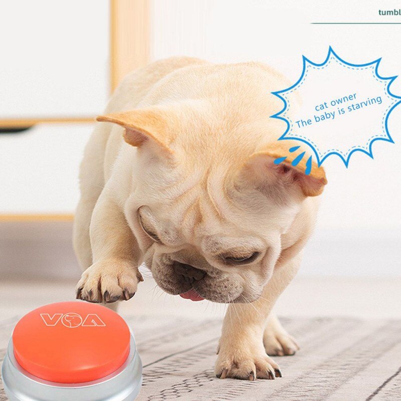 Bouton sonore pour animal de compagnie, jouet parlant, Buzzer sonore, bouton parlant enregistrable, fournitures de jeu de fête, jouets d&#39;entraînement pour chien,