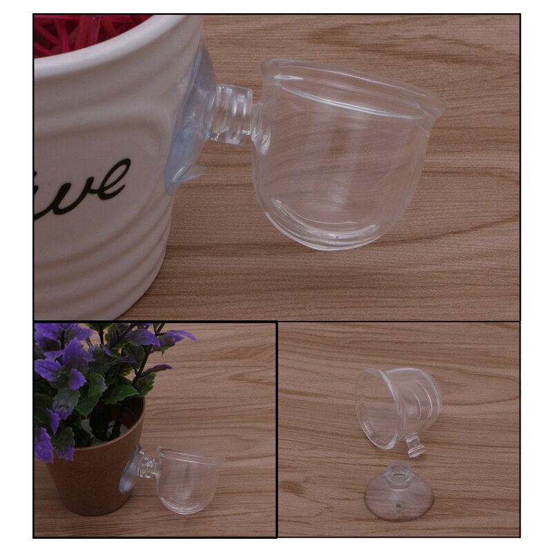 Hogar Paradies Besser 1pc Glas Topf Anlage Schnittfuge Tasse Halfter Garnelen Aquarium Aquarium Wasser Zubringer Neue
