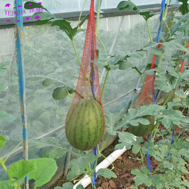 4 größe 100 Stck/viel gartenbau Netz kunststoff Gittergewebe tasche obst Gittergewebe Gewachsen taschen gartenarbeit Netz lebensmittel verpackung netto