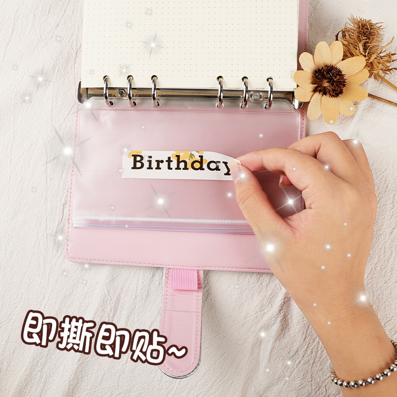 Loose-Leaf Notebook Handwritten Labels Indicate White And Blue Color Stickers Letter Stickers Sticky Notes Index Stickers