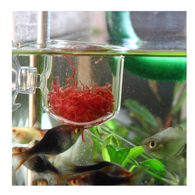 2Stck Aquarium rot Wurm Zubringer Fütterung Für Fisch Winkel Fisch Diskus Zubringer Live Wurm Blutwurm Futter Werkzeug
