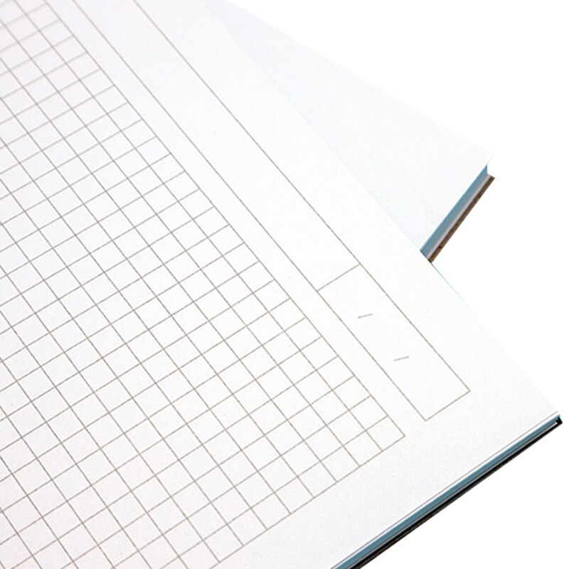 A4 Loose-leaf Refill Mushroom Hole Notepad Dedicated Horizontal Line Blank 3 Formats writing Paper Lace Inside Page DIY Binding