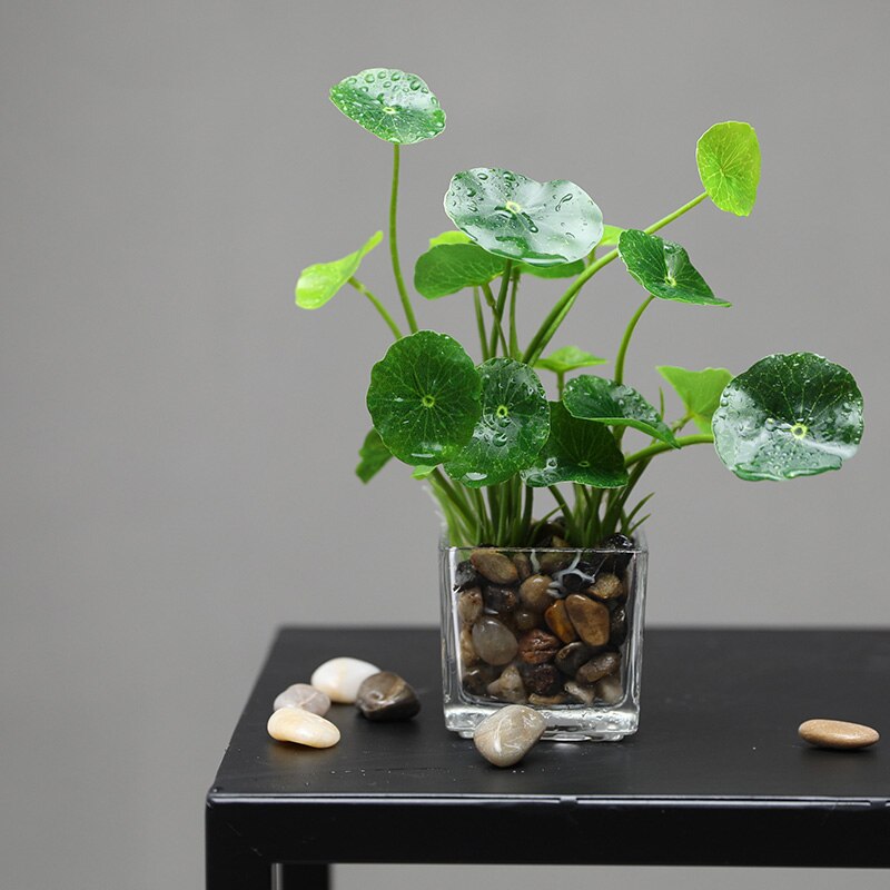 Erxiaobao kunstige planter med glaspotte simulation bonsai potteplanter placeret grønne firkløver hjemmebord vinduer dekoration: Malus crabapple