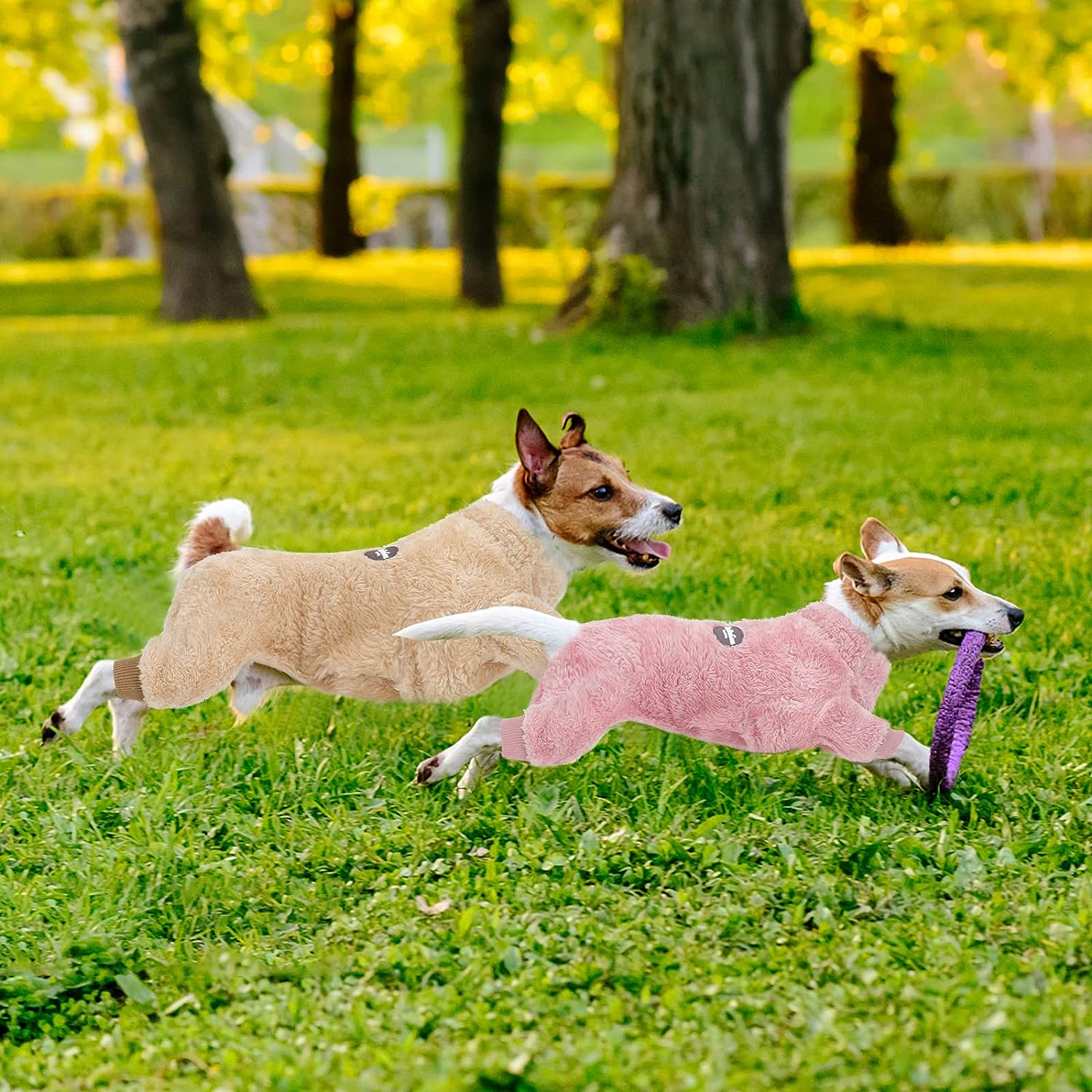 Termiczna aksamitna piżama dla psa zimowy kombinezon dla małego psa szczeniak kot koszula nocna Onesies Chihuahua Yorkie pudel chłopiec ubranka dla psów