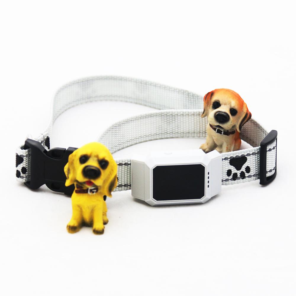 D35 Pet GPS GSM Tracker Dog Cat Real-time Tracking Collar Security Finder Locator