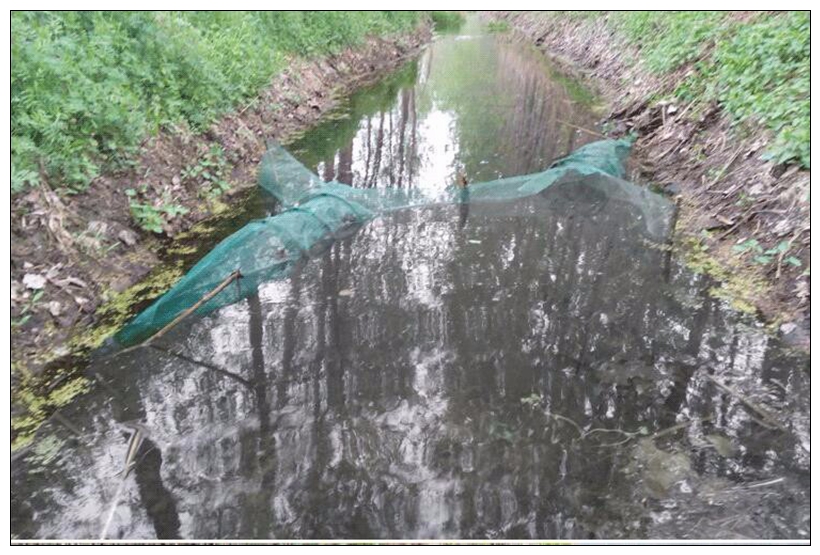 Rete da pesca automatica pieghevole rete da pesca granchio pesce aragosta gamberetti pesciolino esca da pesca rete da pesca cattura rete da pesca trappola esca