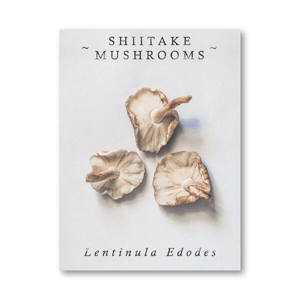 Farmhouse Kitchen Wall Art Posters and Prints Fig Pomegranate Garlic Mushroom Painting Picture Kitchen Gallery Wall Decor: Silver / 21x30cm No Frame