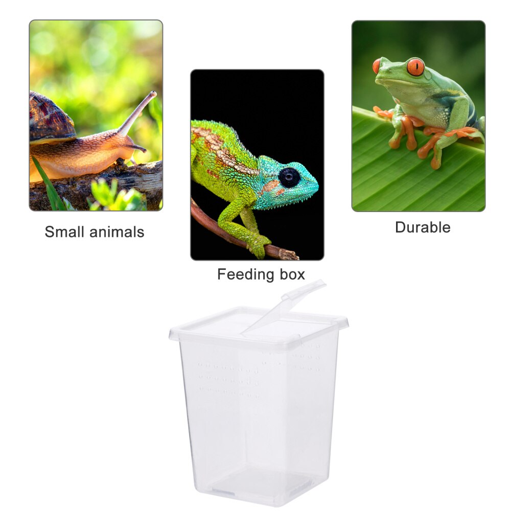 Image showcasing 2 PCS Reptile Container Safe Transparent Reptile C... – Grandado