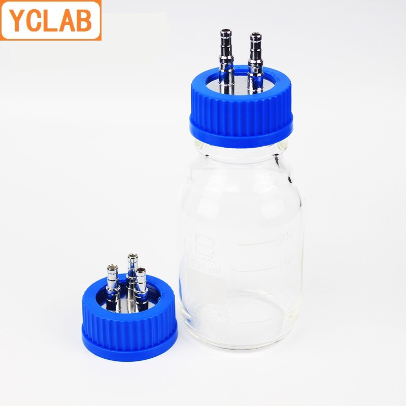 YCLAB Blue Cap with 2/3/4 Stainless Steel Holes Reagent Feeding Bottle for Fermenter Anaerobic Injection Mobile Phase Labware