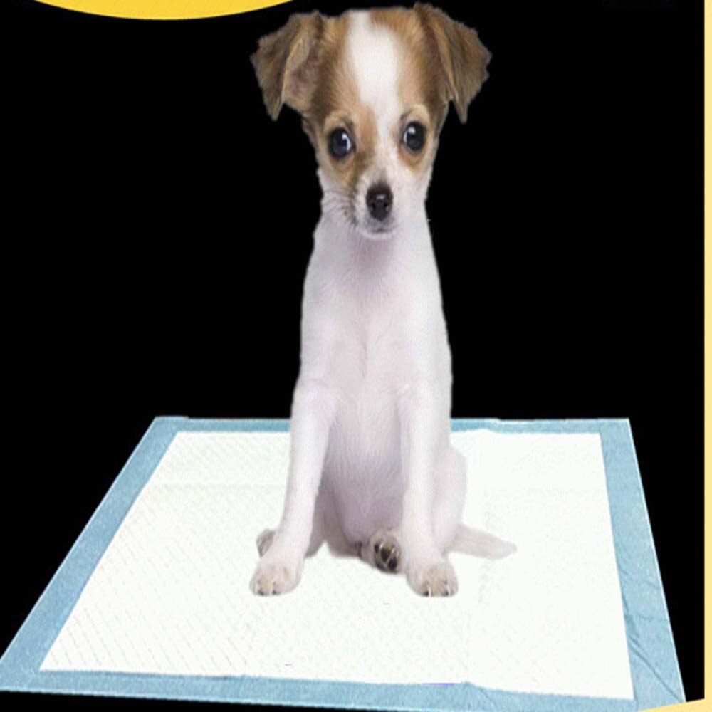 100pcs/set 33 X 45cm Pet Housebreaking Pad For Pet Pee Training Pads Underpads Keep Healthy Clean Wet Mat Pet Dog Puppy Diapers