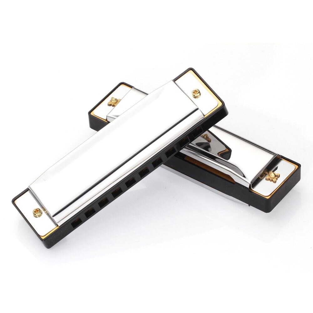 Blues Harmonica 10 Gaten 20 Tone Sleutel Van C Blues Jazz Rock Folk Muziekinstrument Diatonische Harp Roestvrij Staal Met case