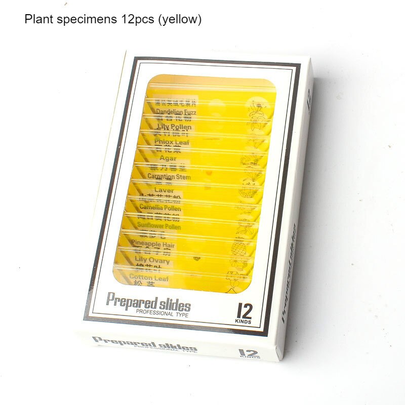 Microscope Slides 12 Children's Standard Microscope Special Plastic bio-slice Specimen Animal Insect Plant Flower Sample Slice: Yellow
