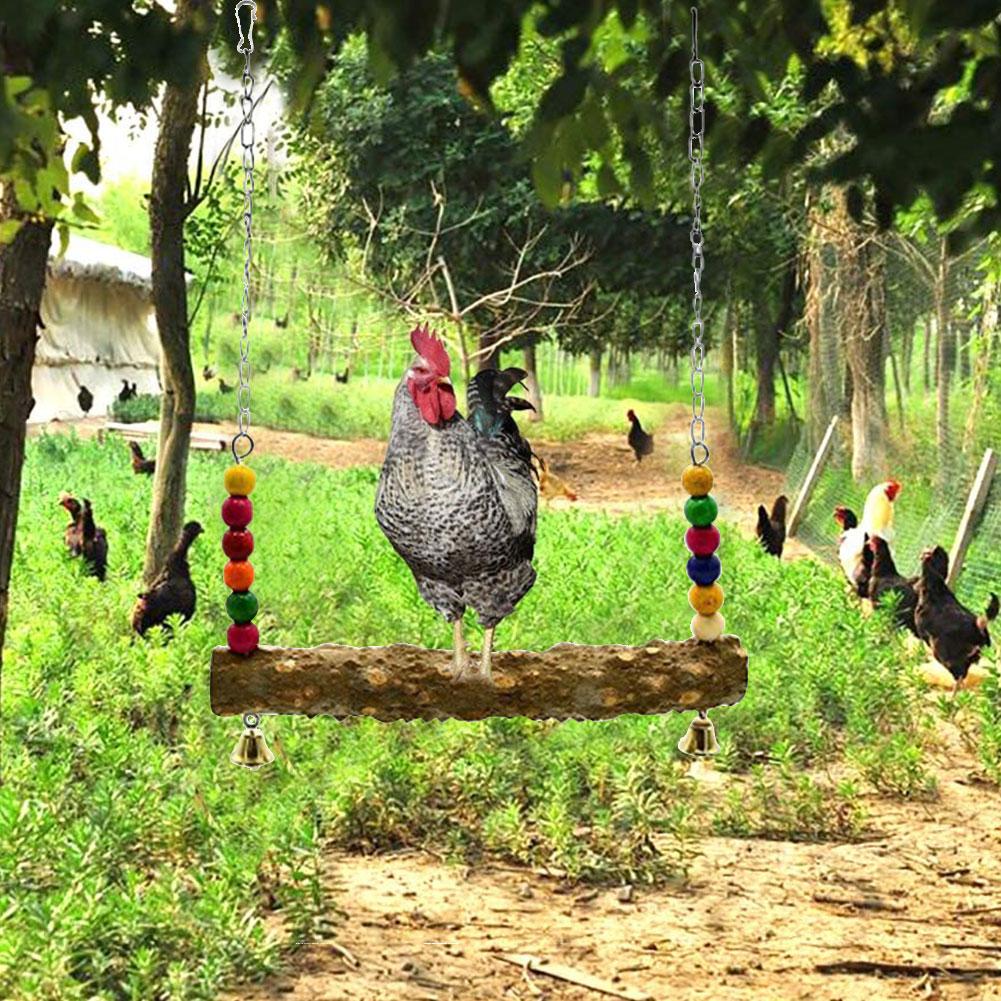 31*45cm kurczak huśtawka szkolenie ptaki stojący okoń kurczak drewniana podstawka ptak gryzak dla kur średnie duże ptaki papugi