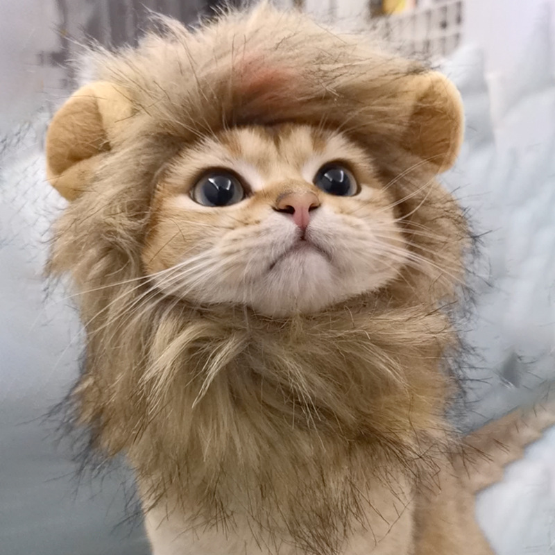Perruque Lion crinière et chat mignon, chapeau pour chiens et chat, accessoires de décoration pour animaux de compagnie, bonnet fantaisie, fournitures pour animaux de compagnie