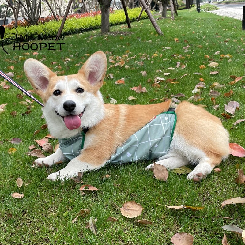 Hoopet Hond Corgi Dudou Omringen Waterdichte Kleding Kat Koud Beschermen Buik Huisdier Bescherming Buik Zomer Teddy T-shirt