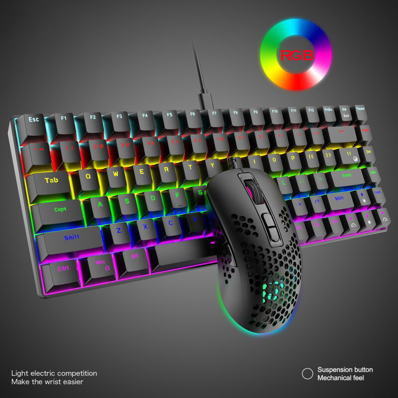 Wired RGB Backlit Gaming Keyboard and Mouse Mechanical Mini Keyboards Ergonomic 6400DPI Mouse for Lenovo/XiaoMi PC Computer: Red Switch black