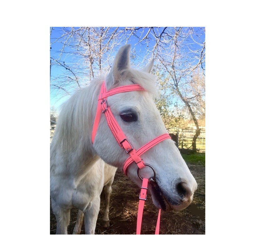 Amazing Head Collar adjustable and Comfortable For Horses
