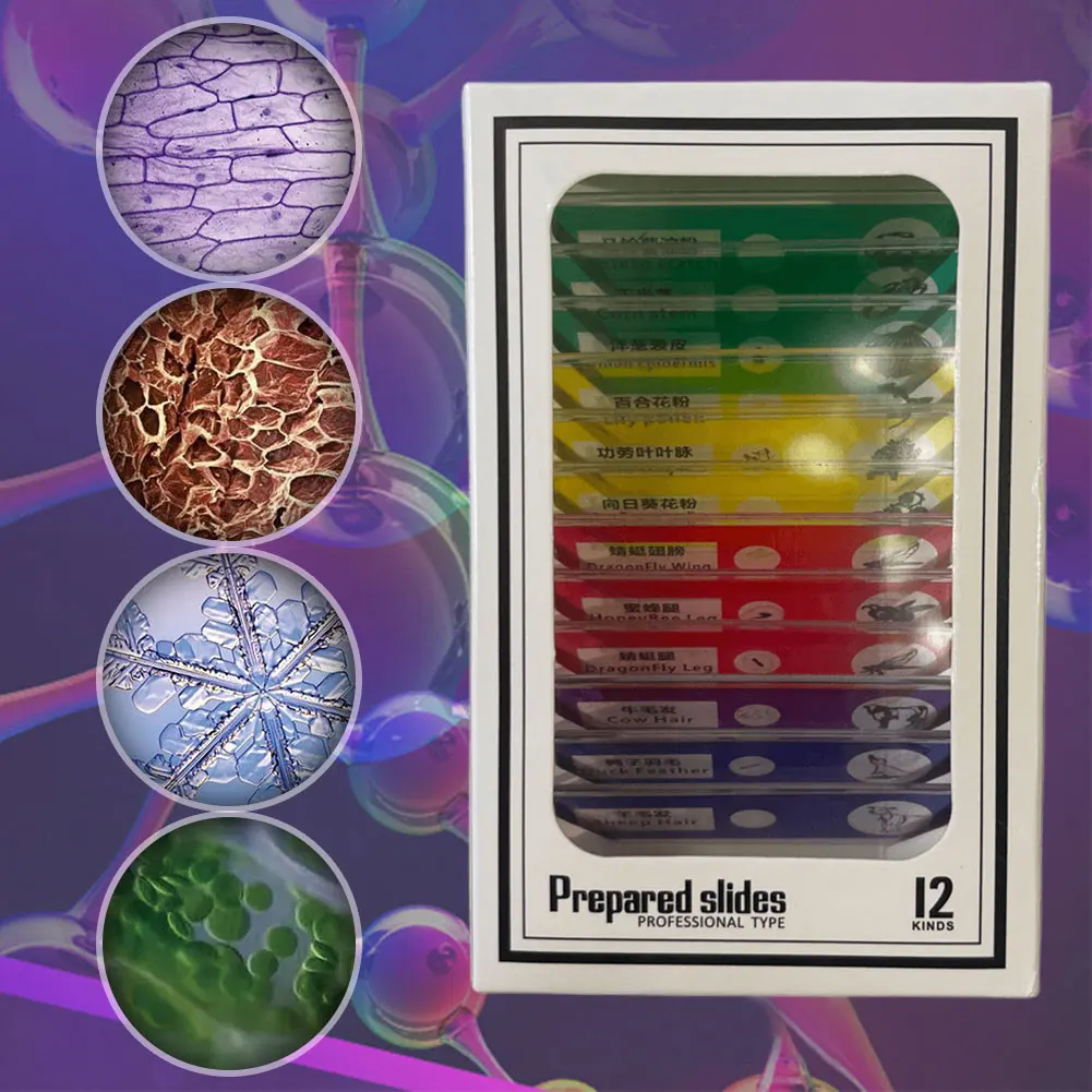 Mini microscopio educativo de mano para niños, Kit de microscopio biológico portátil, 60-180 aumentos