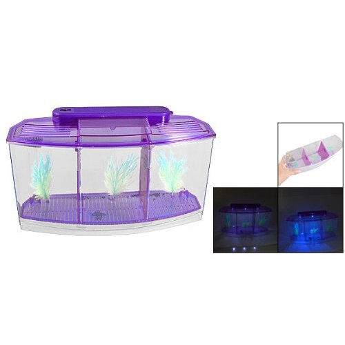 Transparent, lilla plast batteridrevet led-lampe mini stasjonær fiskeakvarium