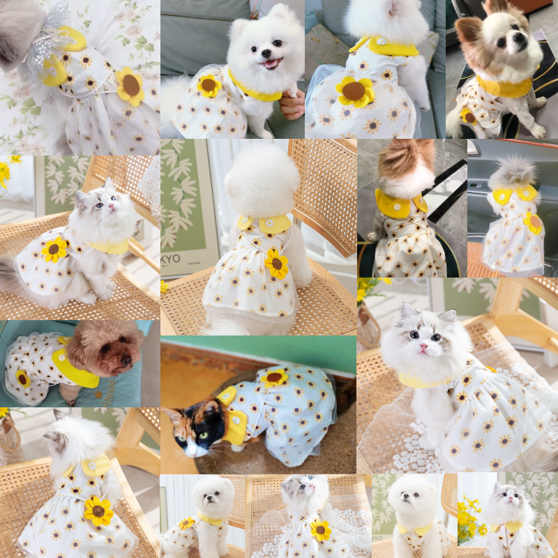 Lyx Hundkläder Hund Solrosklänning Sommar Hundkostymer Chihuahua Bichon Kjole
