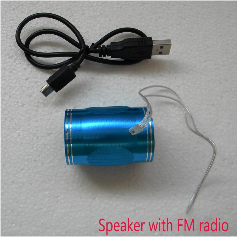 Draagbare Digitale Versterker Mini Speaker Fm Radio Kleinste Hifi Stereo Computer Speaker MP4 Speler Tf/Sd Kaarten