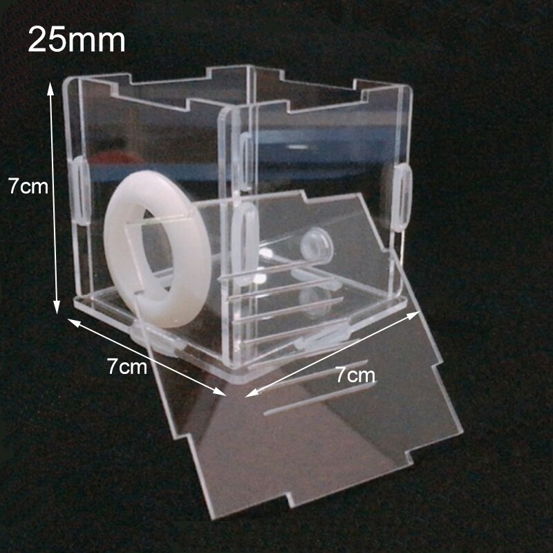 DIY Ecological Gypsum Ant Farm Test Tube Water Plaster Ant Nest Various Sizes Tubes Ant House Workshop for Pet Anthill Queen Ant: 25mm Feeding