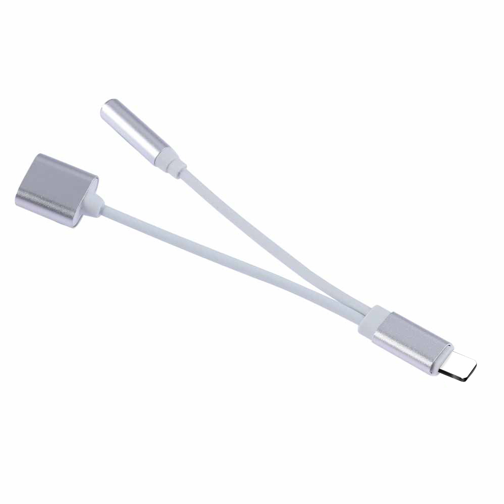 Für iPhone Adapter 2 In 1 Für iPhone XS 11 PRO MAX XR X 8 Plus Beleuchtung zu 3,5mm jack Kopfhörer Lade Konverter AUX Splitter: silver