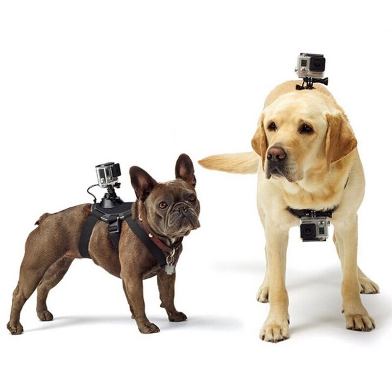 Actie Camera Dual-purpose Hond met en Hond Riem Houder voor Sony HDR-AS200V HDR-AS300 HDR-AS50 FDR-X1000V S30V HDR-AS100V