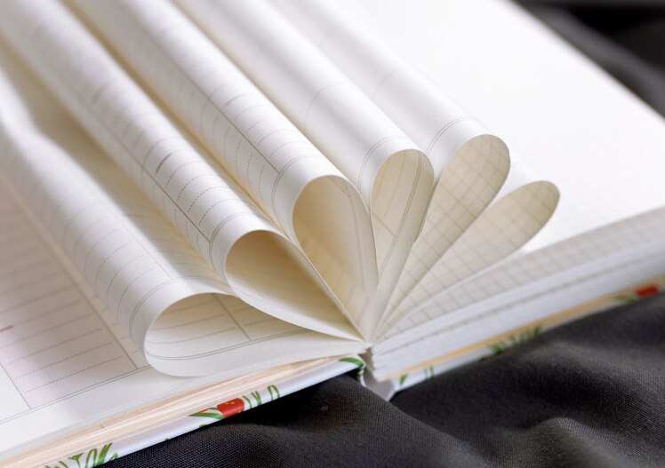 "Young Flowers" Hard Cover Diary Monthly Weekly Planner Agenda Scheduler Beautiful Journal Pocket Memo