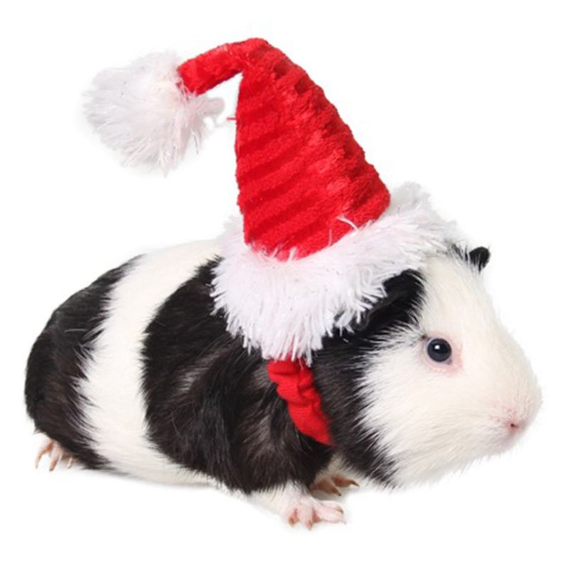 Cute Adjustable Christmas Hat with Elastic Band for guinea pig Rabbits Hamster