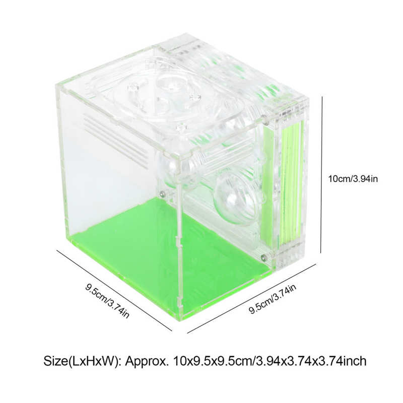Insects Box Reptiles Living Box Transparent Acrylic Ant Breeding Box Watching Feeding Moisturizing Pet Ants Case C Type
