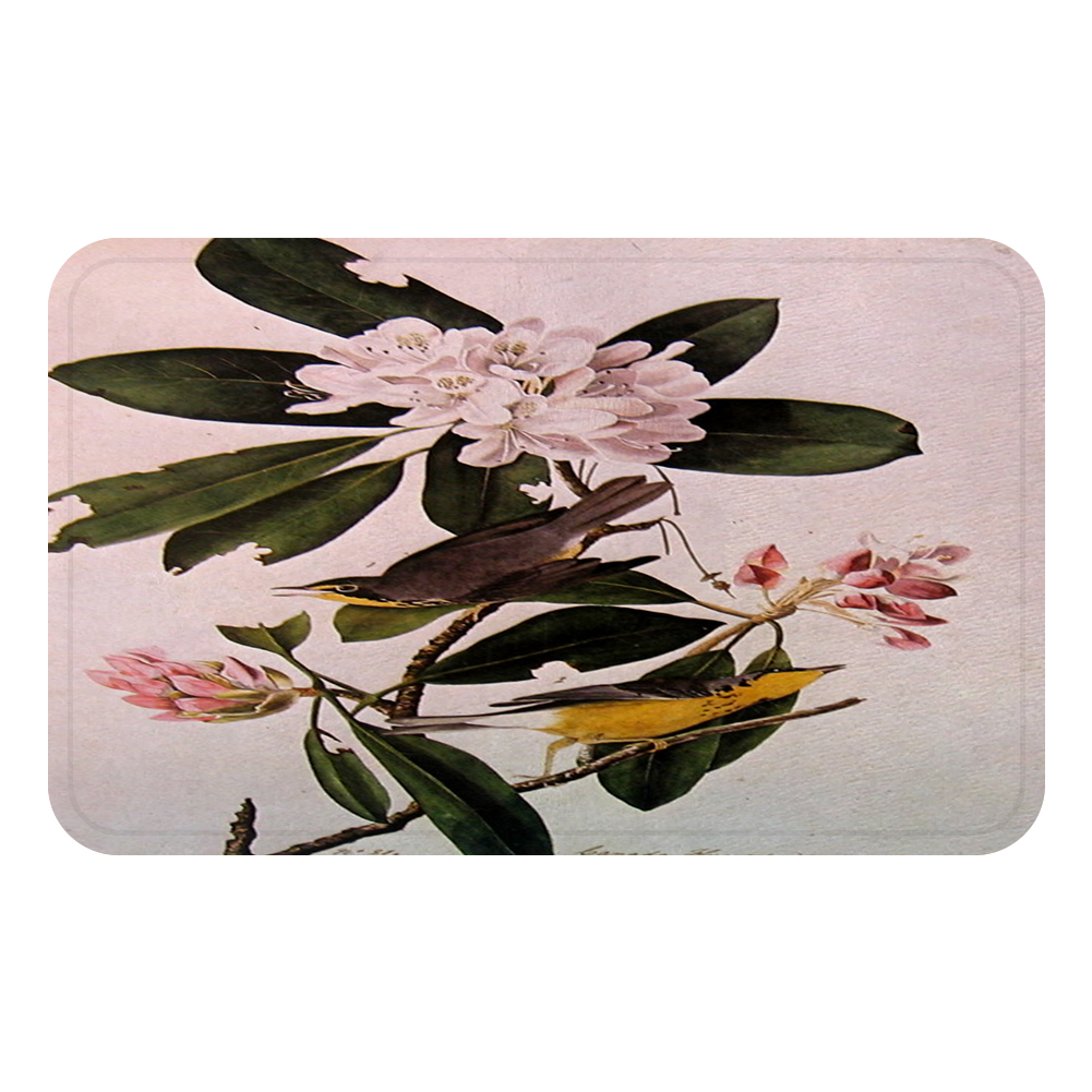 Aigle oiseaux Cool tapis tapis de bain décoratif anti-dérapant tapis chambre voiture sol Bar tapis porte décor à la maison: Jaune / 600mmx900mm