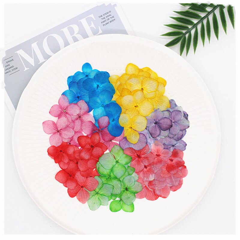 60 stuks/pak hortensia epoxy gedroogde bloemen reliëf plant specimen handgemaakte doe-het-zelf aromatherapie materiaal accessoires
