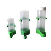 Bird pet quail chick Bird automatic water feeder Ruting chicken blue breast quail osmanthus bird kettle bird cage