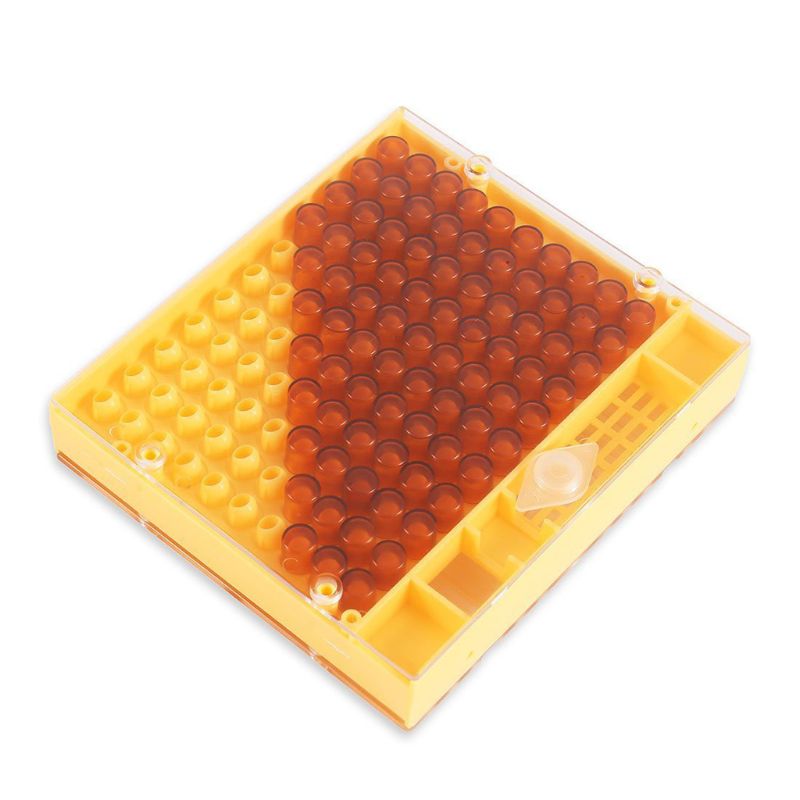 Caja de celda de cría de abejas reina, panales de plástico, jaula de abejas, equipo de apicultura de aislamiento