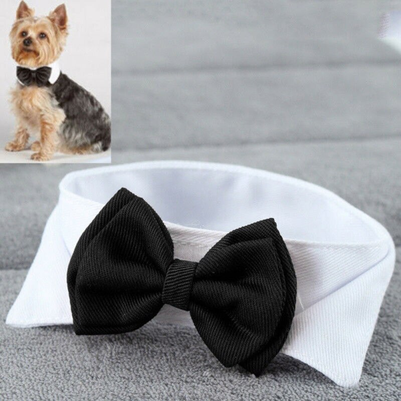 Corbata para mascotas ajustable con lazo para cachorro, gatito, perros, lazo para gato, ropa para mascotas, perro, gato, de Navidad
