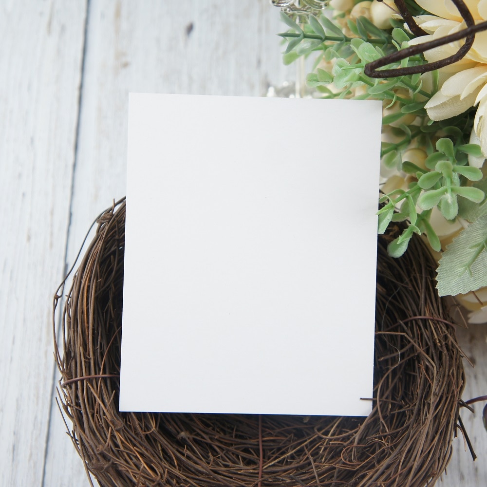 multi-use 50pcs Mini thank you bird sing song Card Scrapbooking party invitation cards valentine Christmas wedding Scrapbooking