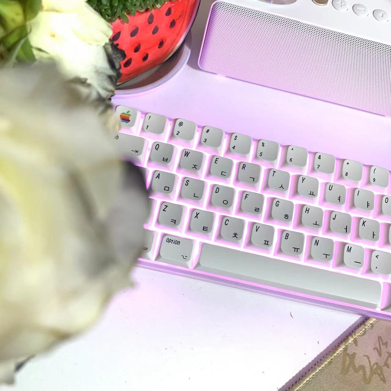 Tasti pbt xda, tasti coreani/russi, set di tasti per tastiera apple mac, tasti mx per tastiera meccanica personalizzata fai da te