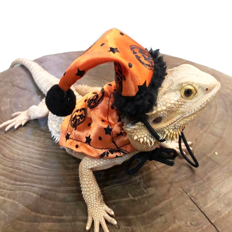 Conjunto de disfraz de lagarto ajustable, sombrero de Halloween de dragón barbudo y capa naranja con estampado de calabaza, suave y cómodo