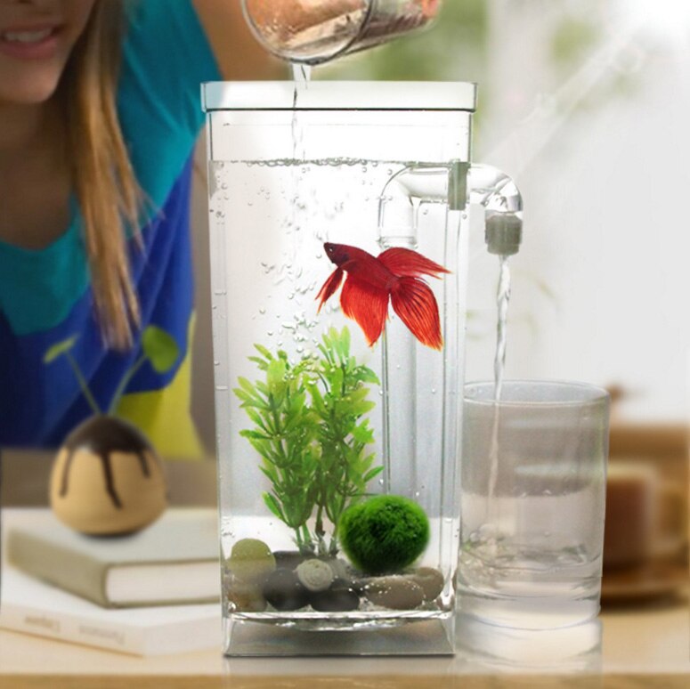 Aquarium en acrylique multicolore, avec lumière LED, bureau Transparent, nœud de poisson: Square Fish Tank